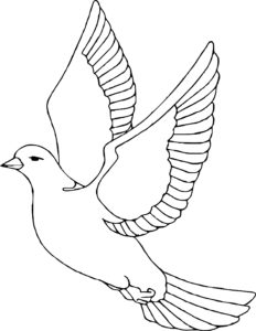 coloriagecolombe