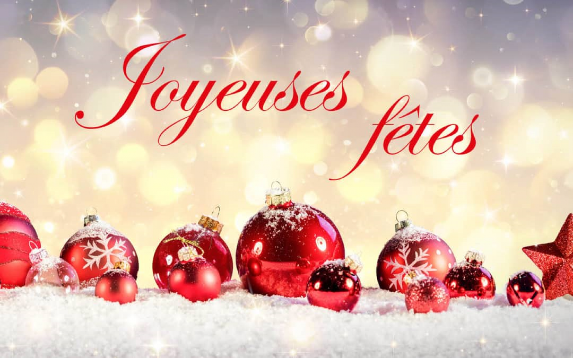 Joyeux temps des Fêtes !